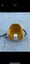Bumbo 3 in 1 Carousel 3