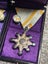Original WW1-WW2 Japanese The Order of the Sacred Treasure?TWO! Carousel 2