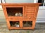Minilop bunny and hutch Carousel 3