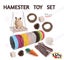 Hamster Toys Set 11pcs Guinea Pig Carousel 1