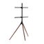 Brateck FS12-46F Artistic Easel Studio 45"-65" TV Floor Stand Carousel 2