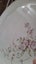 Five Crown Lynn Spring Fair dinner plates D470 Carousel 6