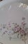 Five Crown Lynn Spring Fair dinner plates D470 Carousel 7