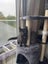 THE STREET CAT PROJECT - MARMITE & SCOOBY - AVAILABLE FOR ADOPTION Carousel 1