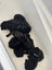 SHAR PEI X PUPPIES FOR SALE Carousel 16