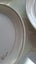 Five Crown Lynn Spring Fair dinner plates D470 Carousel 9