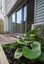 gallery view thumbnail
