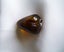 JEWELLERS ESTATE RARE VICTORIAN c1890 CARVED ANCIENT KAURI AMBER/GUM HEART Carousel 6