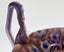 A Beautiful Pair of Vintage Millefiori Murano Urn Vases Carousel 10