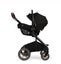 BRAND NEW Limited Edition Pipa Next Riveted Carousel 5