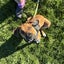 Milo - Chance 4 Change Carousel 1