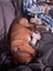 Milo - Chance 4 Change Carousel 8