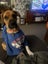 Milo - Chance 4 Change Carousel 9