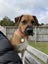 Milo - Chance 4 Change Carousel 13