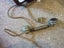 ERICSSON c1910 LARGE WALL PHONE. ORIGINAL HANDPIECE Carousel 7