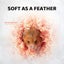 Hamster Bedding Dust-free Deodorant Shavings Golden Bear Totoro Winter Supplies Carousel 5