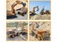PTN New RC Car Digger Excavator Sale Sale Carousel 10