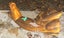 ART TAXIDERMY HUNTING ANIMAL 3D ARCHERY TARGET ANTELOPE Carousel 2