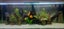 600L Fish tank & FX6 setup Carousel 2