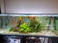 600L Fish tank & FX6 setup Carousel 4