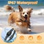 New Anti Bark Dog Collar on Afterpay Carousel 6