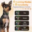 New Anti Bark Dog Collar on Afterpay Carousel 5