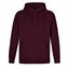 KANGA | Mens Cotton-Rich Hoodies Carousel 14