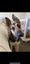Beautiful German Shep cross Huntaway Carousel 1