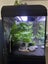 Complete Tropical Fish Tank + Cabinet + Fish + Supplies – Must Go! Carousel 8
