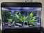 Complete Tropical Fish Tank + Cabinet + Fish + Supplies – Must Go! Carousel 9