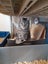 Brave Paws Cat Rescue - Cat - Sylvie Carousel 3