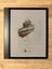 Boox Note Air 4C - Colour E-Ink Tablet (AS NEW) Carousel 5
