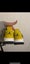 Air Jordan 4 Lightning Carousel 10