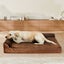 Orthopedic Dog Bed Xl Coffee Carousel 7