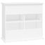 Aquarium Stand White 81x36x73 Cm Engineered Wood Nttlxt Carousel 9