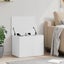 Storage Box White 60X42X46 Cm Engineered Wood Nablpt Carousel 4