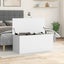 Storage Box White 100X42X46 Cm Engineered Wood Nabllb Carousel 3
