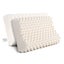 Giselle Bedding Natural Latex Pillow Carousel 9