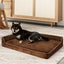 Orthopedic Dog Bed L Coffee Carousel 8