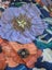 ANNAH STRETTON - Gorgeous Floral Cotton Top - Sz 10/12 Carousel 4