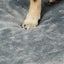 Orthopedic Dog Bed Xxl Grey Carousel 4