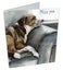 Blank Greeting Cards Mini Notecards: Pack of 3 Assorted Cards Carousel 2
