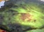 Genuine NZ Pounamu/Greenstone Rough Block Carousel 1