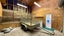 gallery view thumbnail