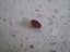 Certified Earth mined Natural Treated Ruby Gemstone, Oval Cut, 9 x 7 x 4.4mm Carousel 7