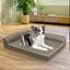 Orthopedic Dog Bed Xl Coffee Carousel 8