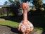 BOHEMIAN MID CENTURY MOTTLED GLASS VASE RETRO Carousel 8