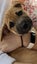 Tony (Ellie's Canine Rescue & Rehome) Carousel 8