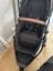 Edwards & Co Oscar in Black Luxe Tan, plus Bassinet Carousel 7