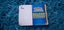 $1 RES 2015 Nintendo Pokemon Deluxe Essential Handbook Carousel 4